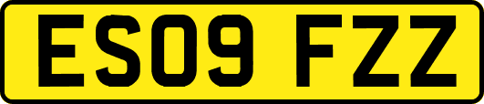 ES09FZZ