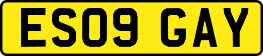 ES09GAY