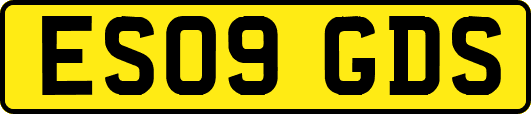 ES09GDS