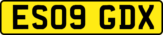 ES09GDX