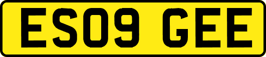 ES09GEE