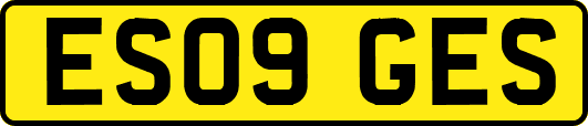 ES09GES