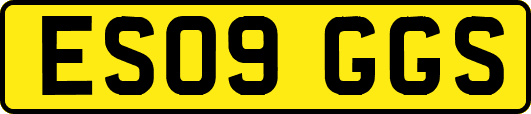 ES09GGS