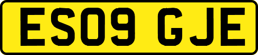 ES09GJE