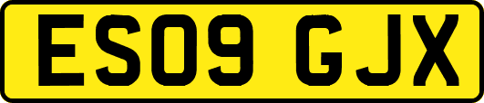 ES09GJX