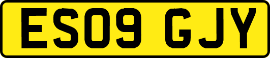 ES09GJY