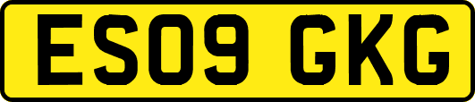 ES09GKG