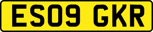 ES09GKR