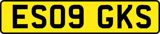 ES09GKS