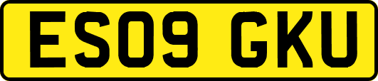 ES09GKU