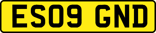 ES09GND
