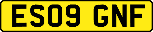 ES09GNF