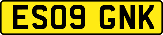 ES09GNK