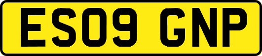 ES09GNP