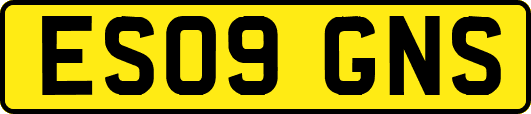 ES09GNS