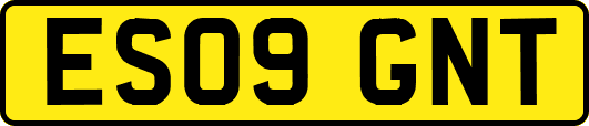 ES09GNT