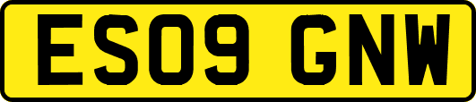 ES09GNW