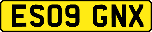 ES09GNX