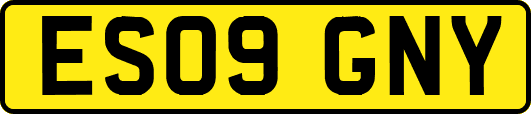 ES09GNY
