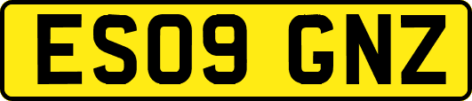 ES09GNZ
