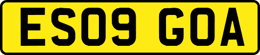 ES09GOA