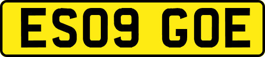 ES09GOE