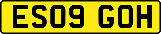 ES09GOH