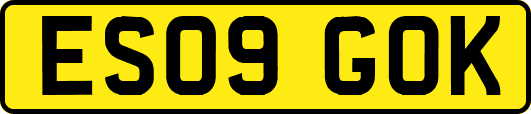 ES09GOK