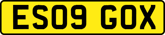 ES09GOX