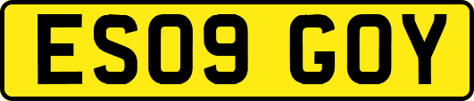 ES09GOY