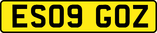 ES09GOZ