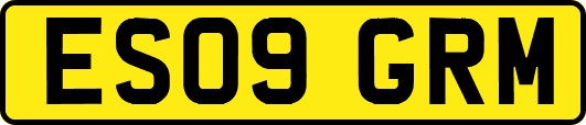 ES09GRM