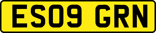 ES09GRN