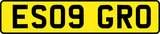 ES09GRO