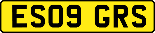 ES09GRS