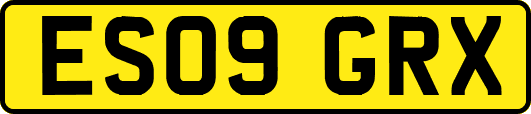 ES09GRX