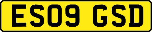 ES09GSD