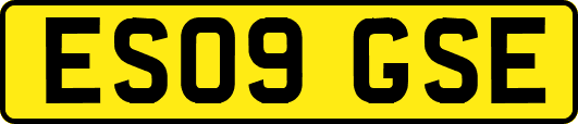 ES09GSE
