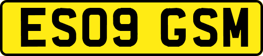 ES09GSM