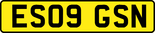 ES09GSN