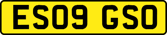 ES09GSO
