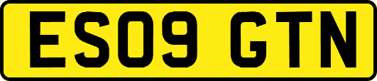 ES09GTN