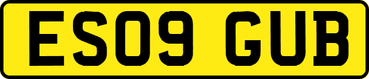 ES09GUB
