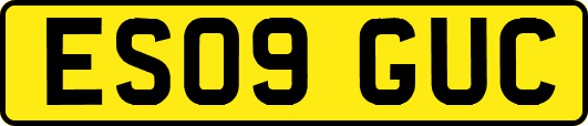 ES09GUC