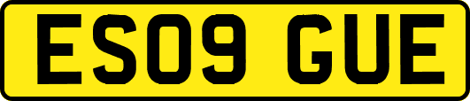 ES09GUE