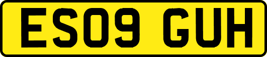 ES09GUH