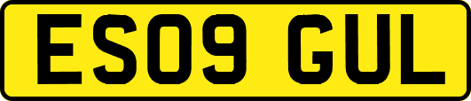 ES09GUL