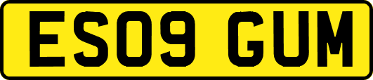 ES09GUM