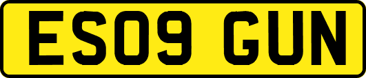 ES09GUN