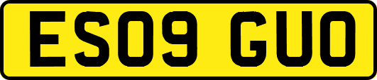 ES09GUO